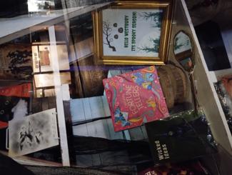 Display in Charity Shop Window, lights and decorations 