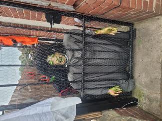 There is a window display, and throughout my walkway. 