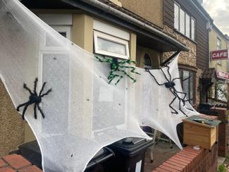 Spiders 