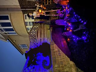 IMG_3288