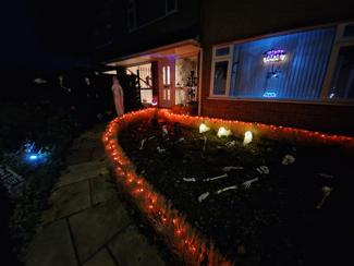 Bones and lights