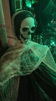 Skeleton Graveyard 